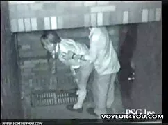 Đần huấn luyện viên  ...