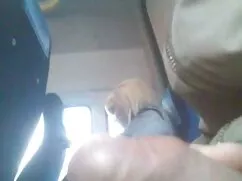 Tôi sẽ không bao giờ ...