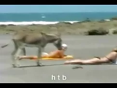 Tôi bởi một thẳng 8  ...